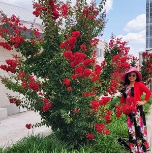 Meet your Posher, Belle